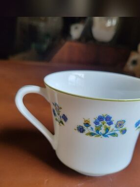 Vintage Wyndham Fine China Canmere Pattern 442 Cup
